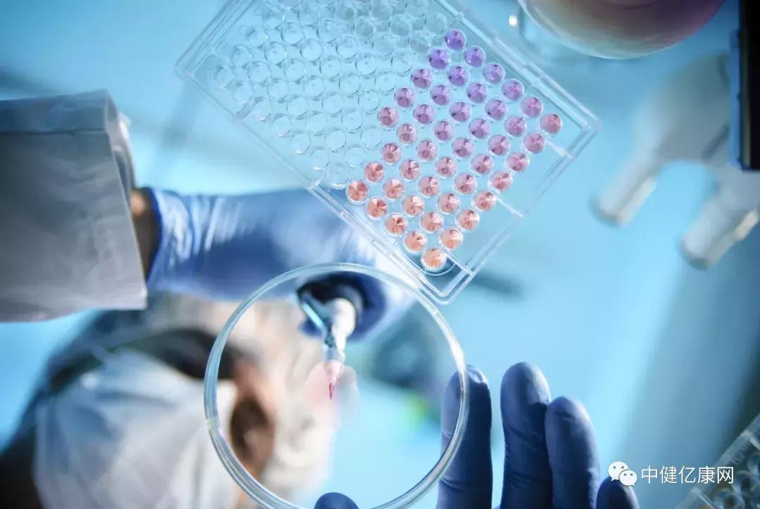 中健亿康医疗科技有限公司董事长,中健亿康医疗科技有限公司