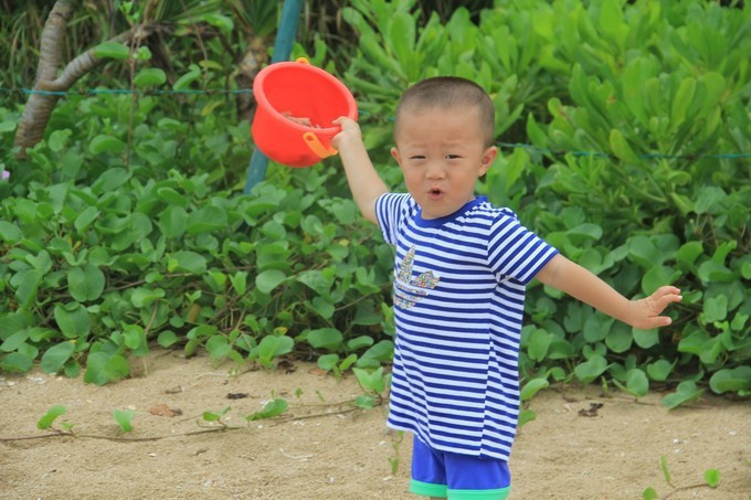 海边美食推荐旅游攻略,海边旅游美食风景攻略