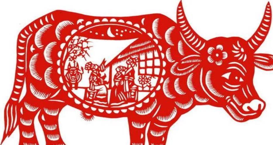 晚年最有福气的四大生肖,越老后越有福气的4个属相