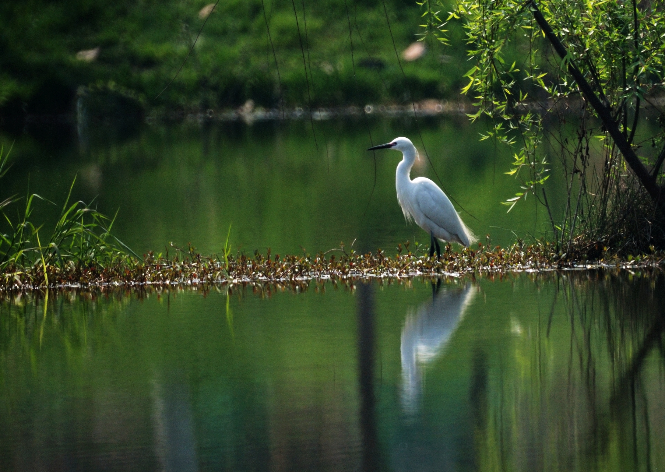 成都二环内10大公园,成都二环东湖公园