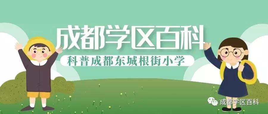 东城根街小学和龙王庙小学怎么选,成都排名前十的小学学区