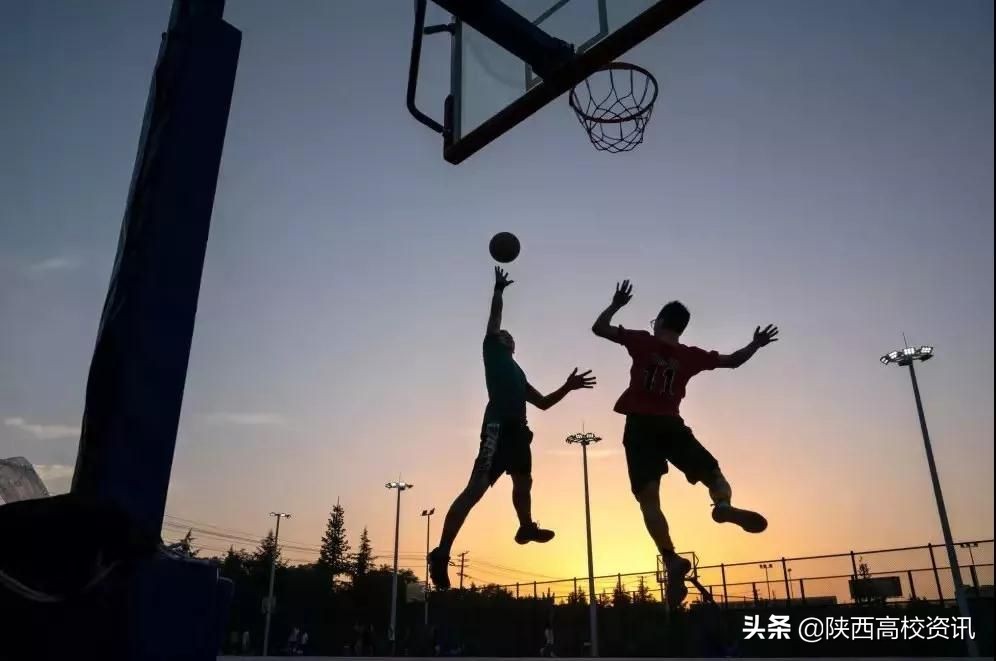 陕西财经职业技术学校发展史,陕西财经职业技术学院有多大