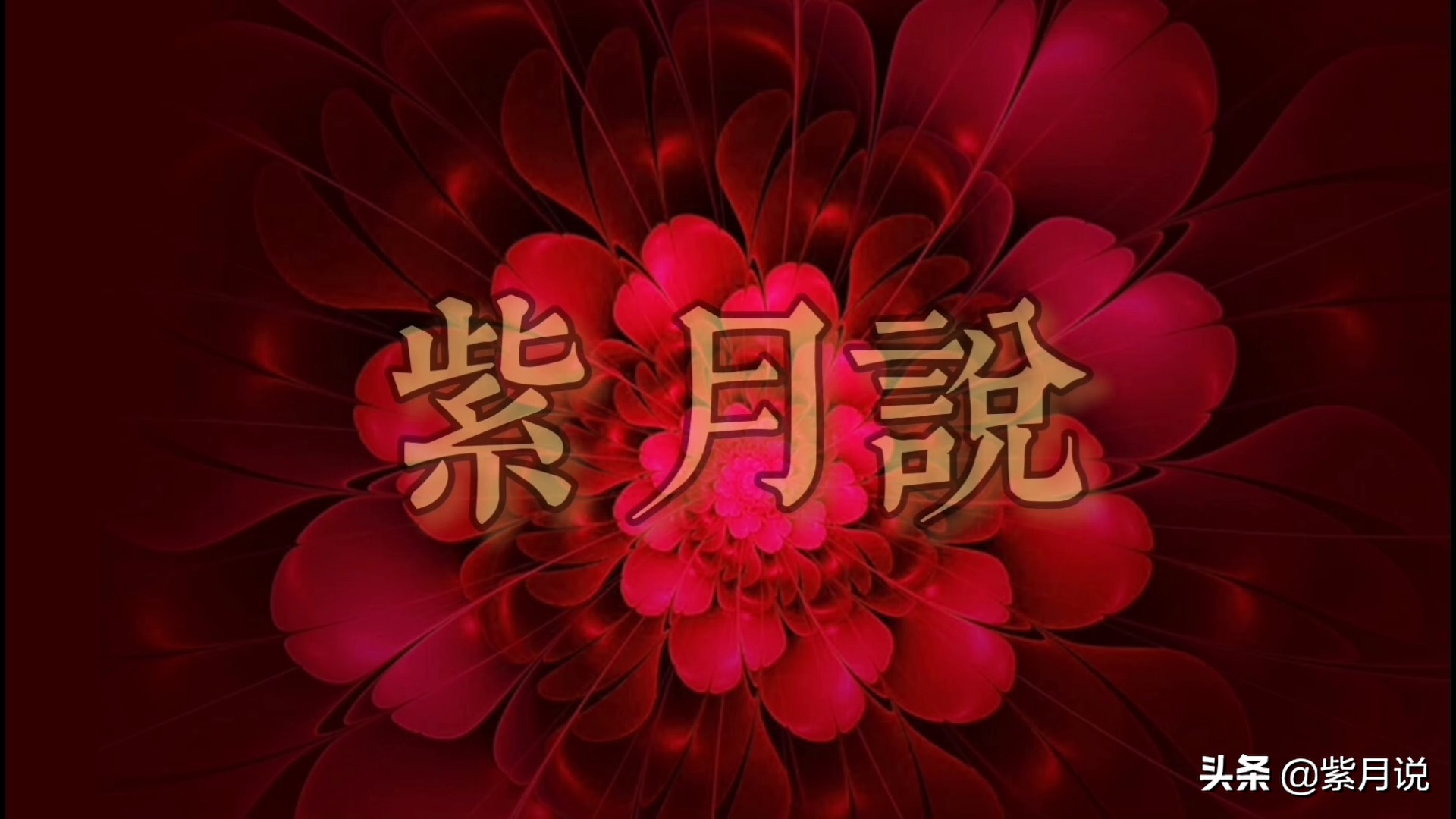 紫月：中，英，法，荷兰语朗读：苏轼—水调歌头（音频各语种集）