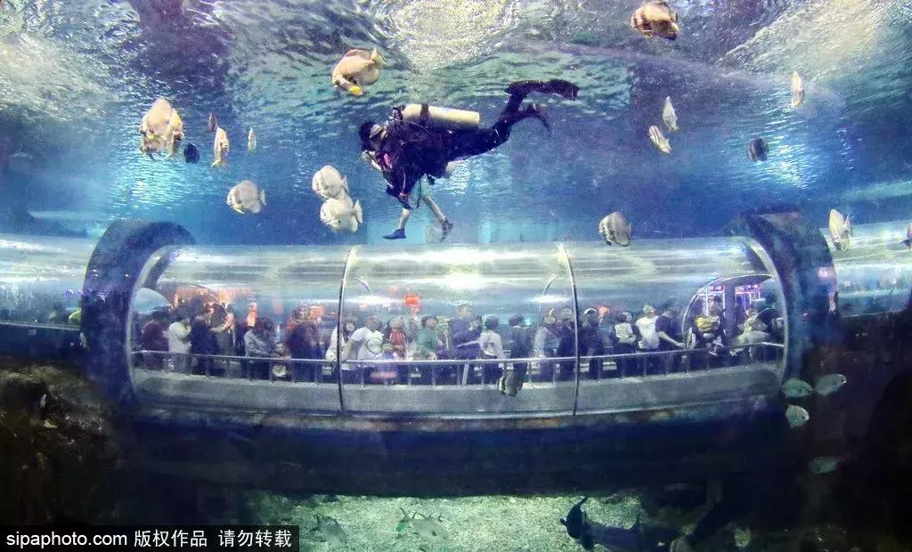 周末北京这些值得去的地方,北京周末来这儿玩