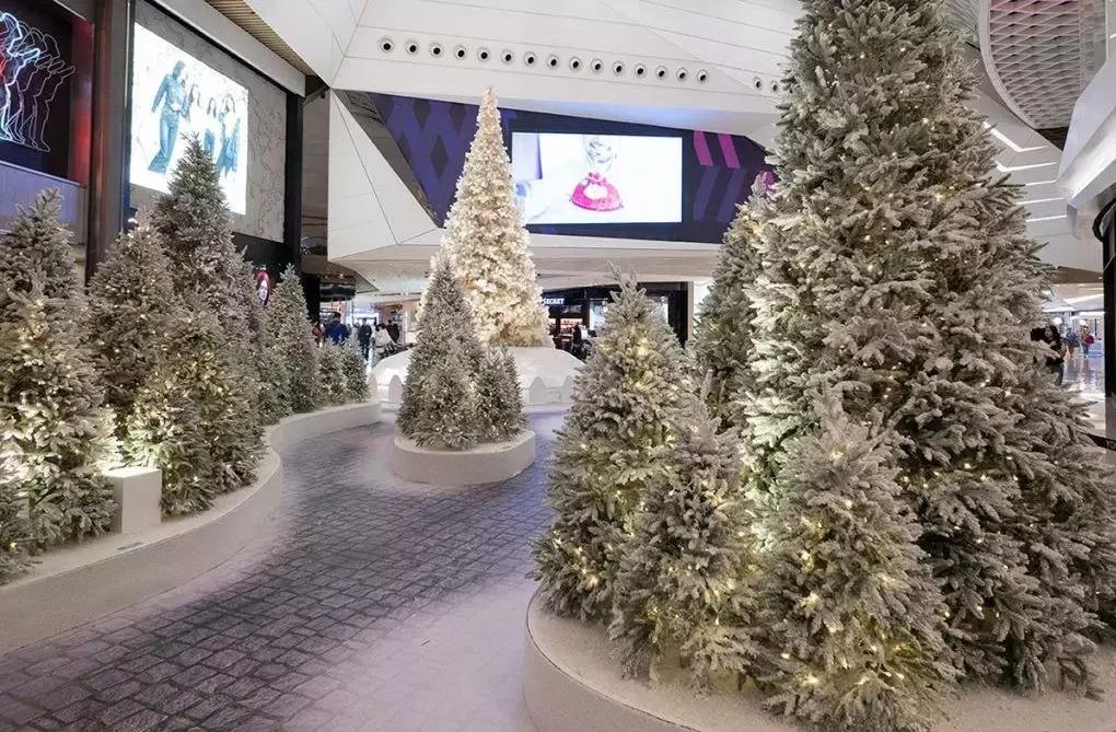 香港海滨长廊圣诞节,香港圣诞打卡地唯美视频