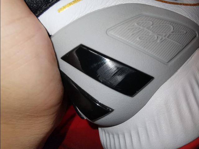 罗斯玫瑰战靴,玫瑰十年