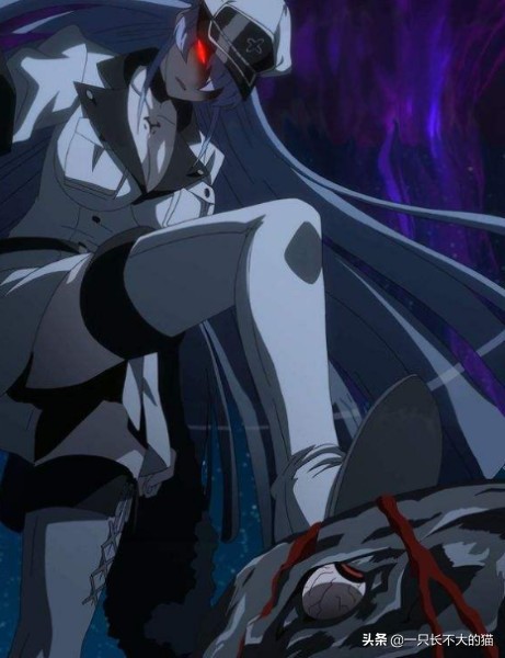 好看的少女动漫推荐日漫,推荐御姐动漫