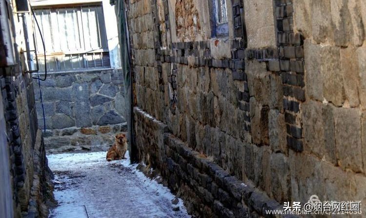 烟台所城里承载着多少回忆,烟台所城的来历