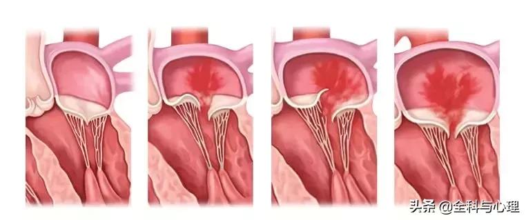 心脏说明书,这份通俗易懂的心脏说明书请收好