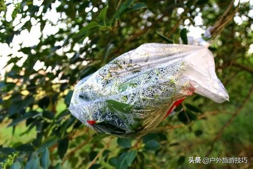 普通人在灾难中如何活下来,普通人如何度过这次危机