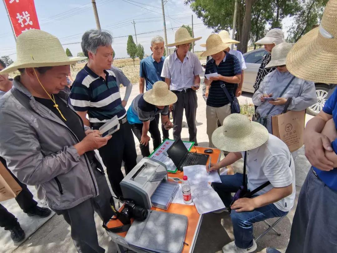 高产抗病油菜新品种,长江中下游油菜高产稳产新品种