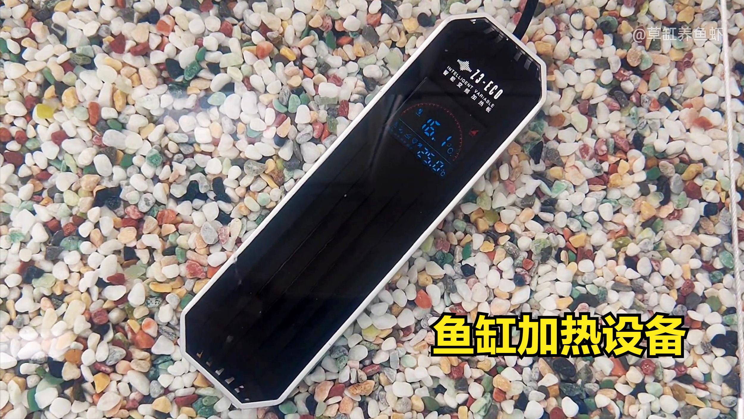 花4块钱买的小鱼缸也太便宜了,80cm的鱼缸适合养多少条发财鱼