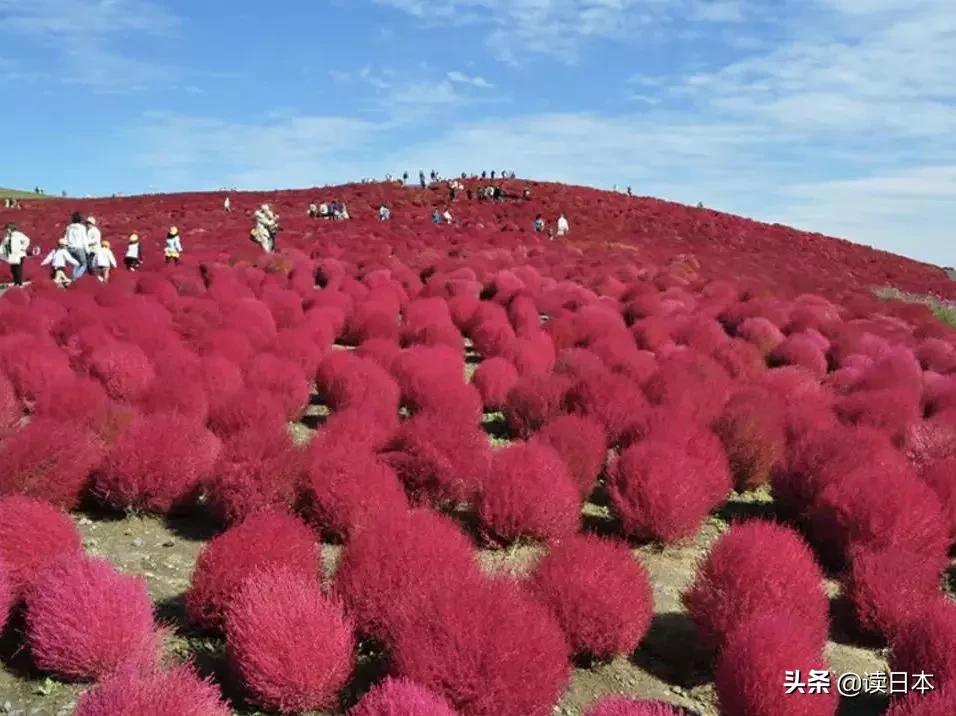 日本最美城市排行榜,东京最有魅力城市排名