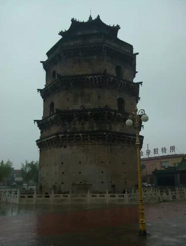 奇怪的古塔燕子----“严冬不南迁，有足不成行”