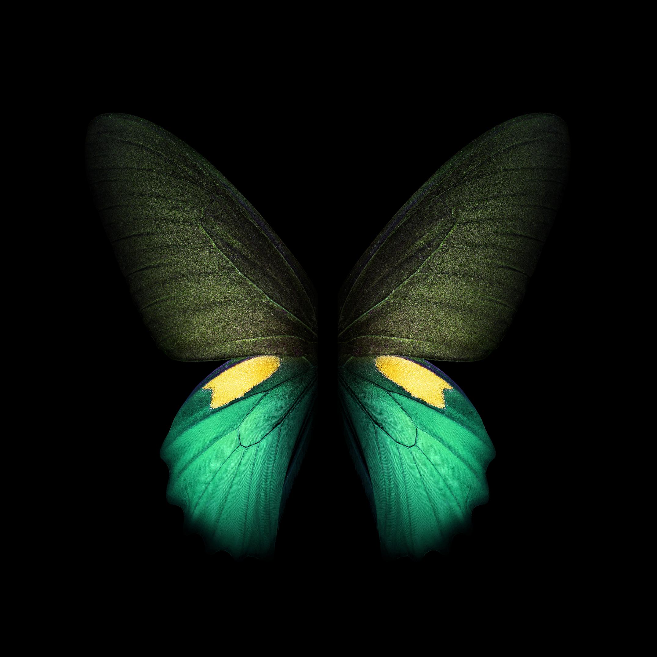 三星fold3tb联名版主题壁纸,三星fold顶级绝美全屏壁纸