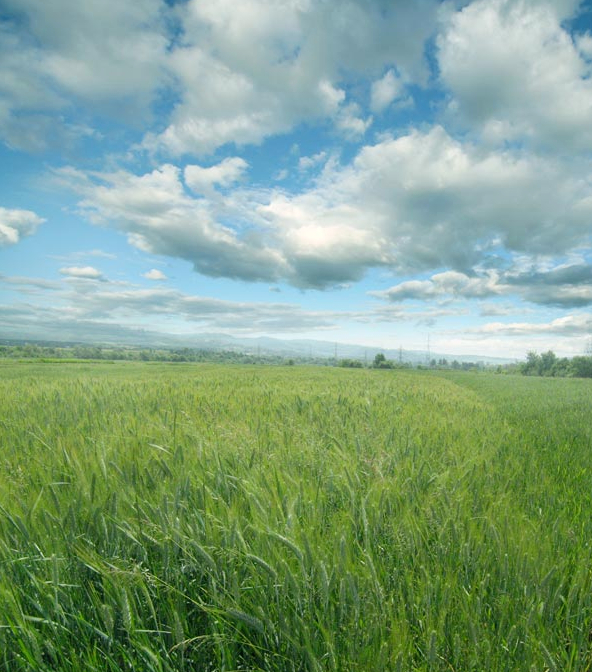 ps教程第62节图层混合选项,ps教程图层混合式模式讲解