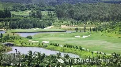 吴川林济仁,林济仁