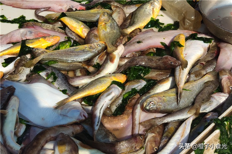 喜欢吃鱼，聪明人就买这5种，便宜营养，主要目前没有人工养殖
