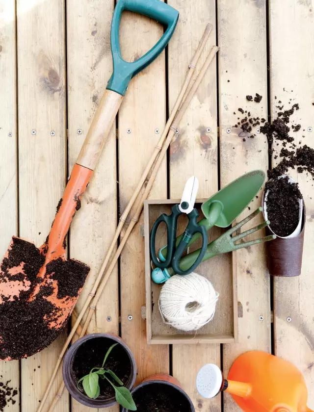 教你打造一米菜园,自家菜园教程新手入门