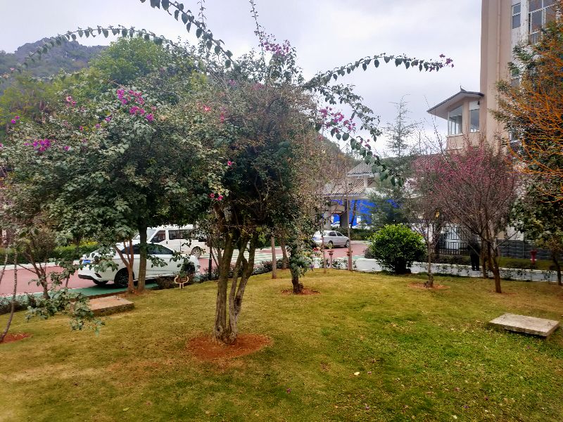 肛周脓肿12345678