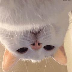 快速学习cad要多久学会,想学cad有什么好书