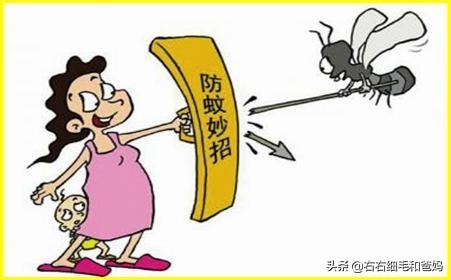 健康安全的驱蚊产品,避蚊产品