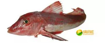 舟山海鲜攻略2天3晚吃什么,舟山海鲜代加工攻略