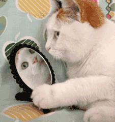 怎么样微笑才能又好看又自然,微笑攻略