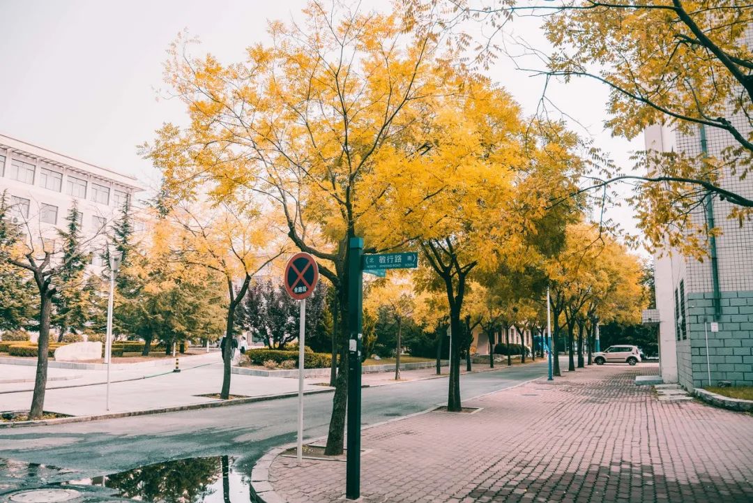 去大连海边玩一趟要多少钱,去海滨城玩有什么攻略