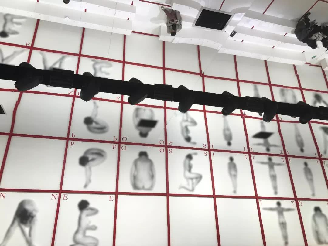 这个真·女权大牌，凭什么成为公主的选择？