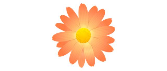 如何制作ppt素材库,制作ppt的六大素材