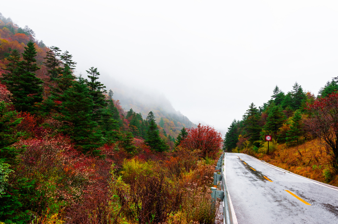 湖北混血野人之谜,湖北神农架野人之谜