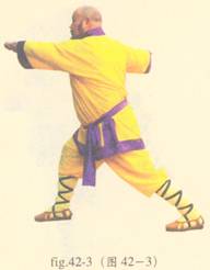 少林心意门拳视频教程,少林长护心意拳图解