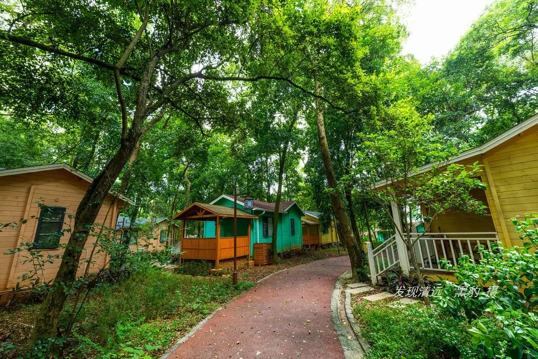 清远止林温泉民宿多少钱一晚,清远独立温泉民宿度假村排名榜