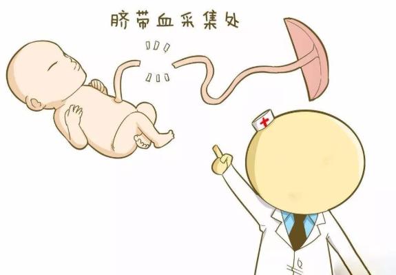 医院推荐脐带血保存靠谱吗,宝宝脐带要保存起来吗
