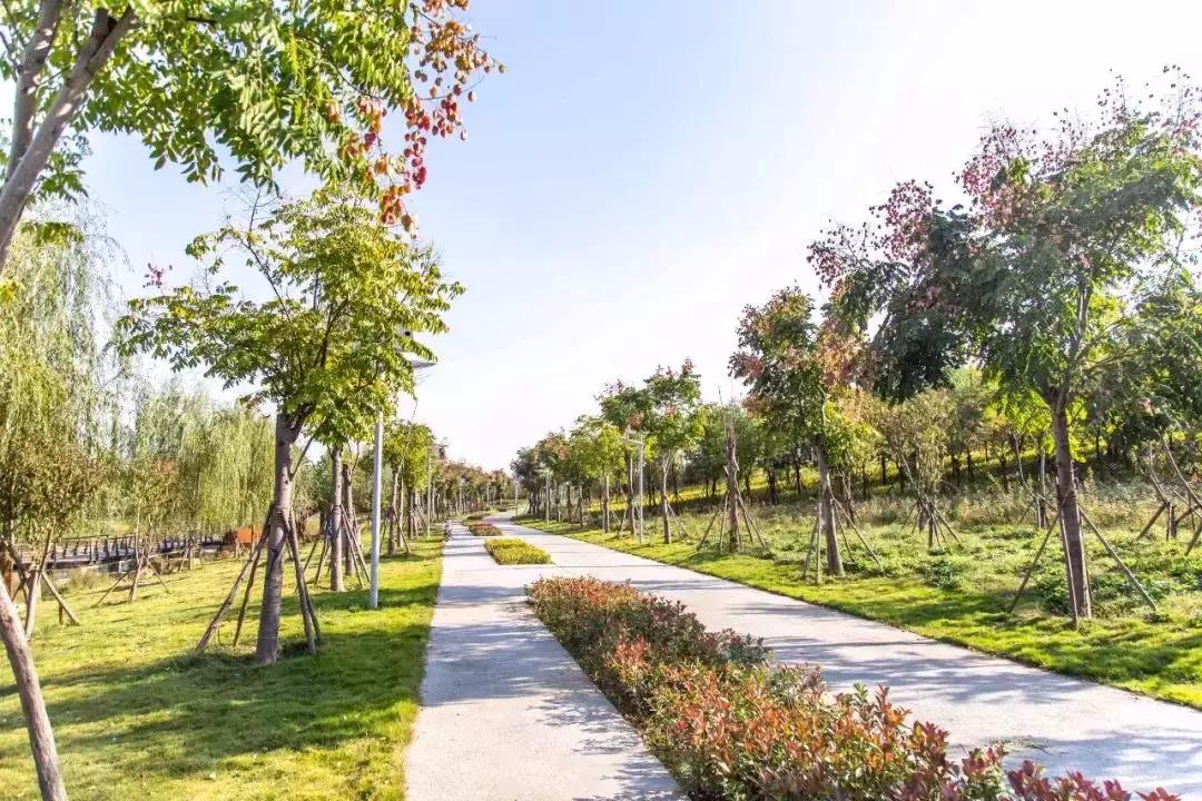 郑州周边适合春天去的地方,郑州适合骑行的公园
