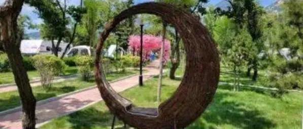 爬泰山最佳时间,一览泰山四大奇观!