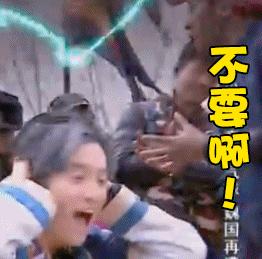 山西太原：拳头大的“虫皇帝”悄悄潜入太原！国内无天敌！海关首次截获！一旦入侵后果难料