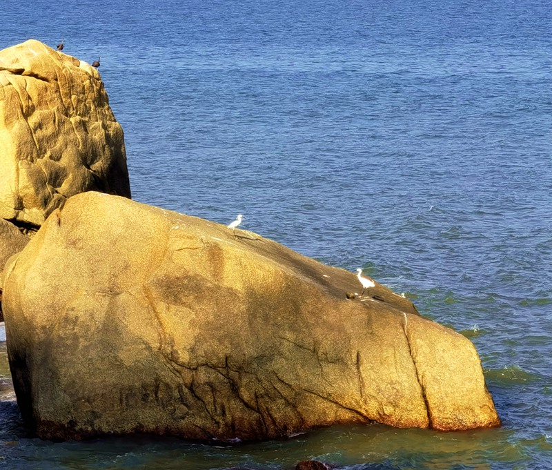 澳门3日美食游,澳门三日两夜美食