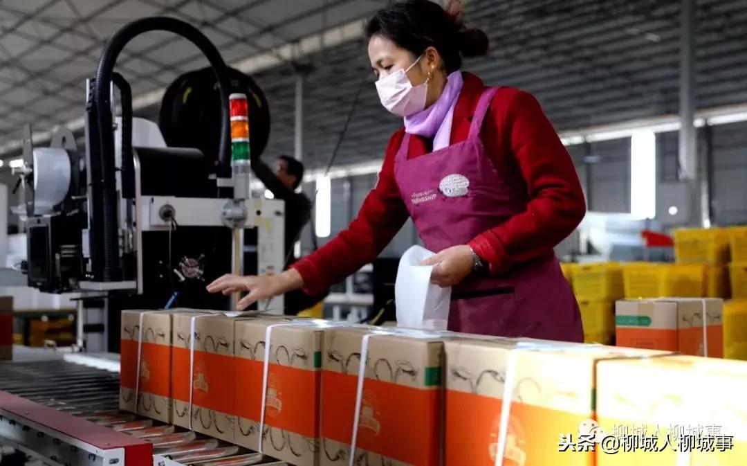 「微观柳州」你知道电商怎样征战脱贫攻坚战场吗？