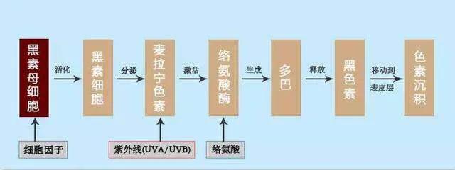 想要祛斑，先了解斑！有些斑连医美都治不好，你知道吗？