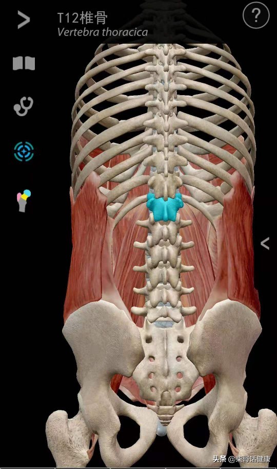 用3D来脊柱体表定位简单多了