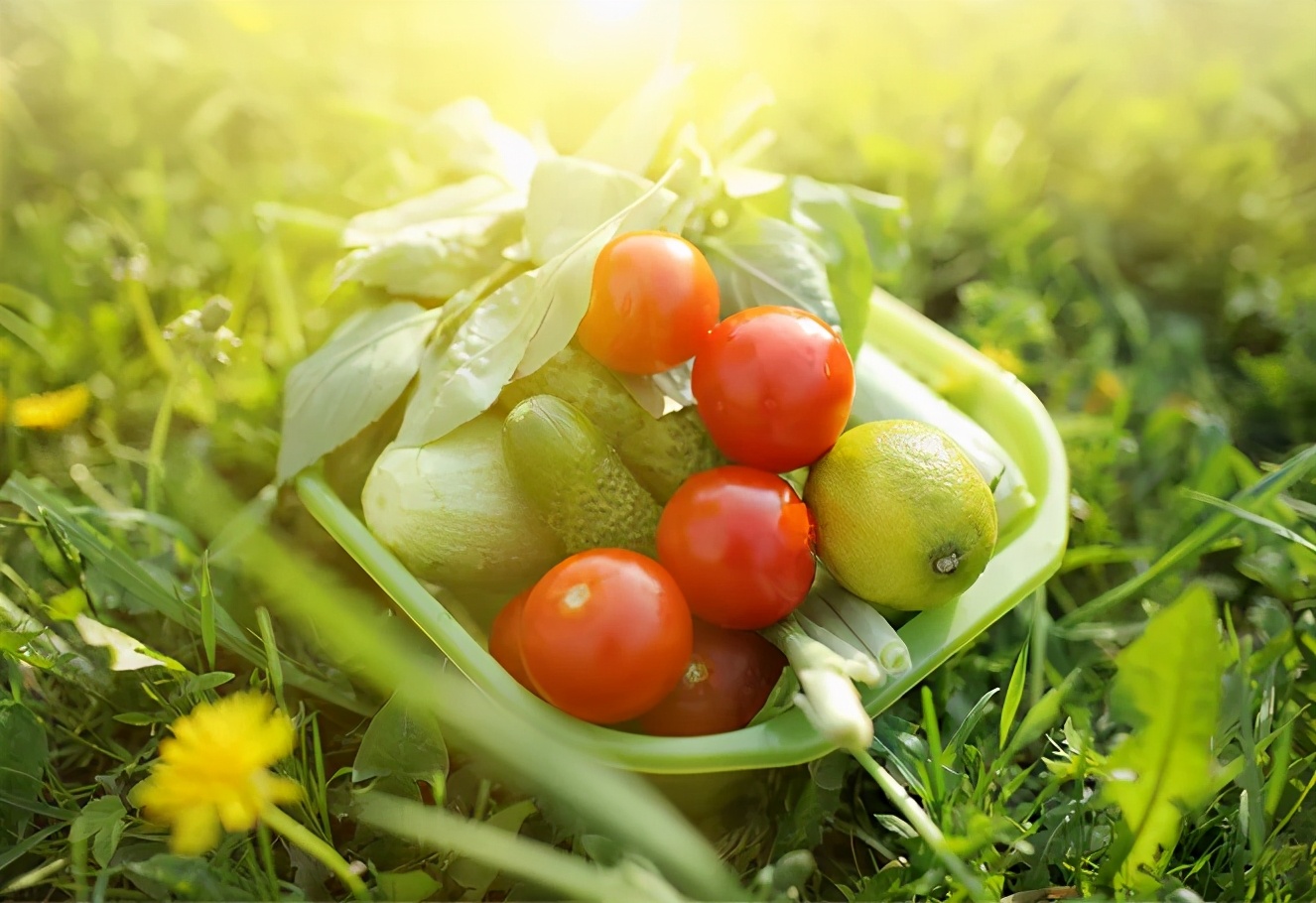 瀛姿堂,姿美堂胶原蛋白肽酵素