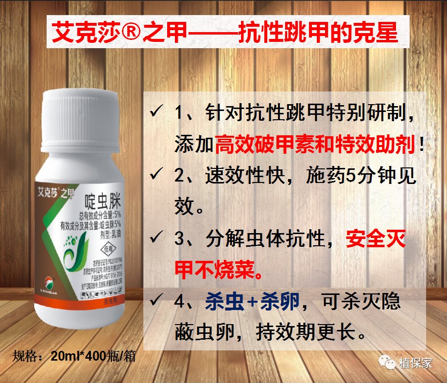 蔬菜害虫最佳防治方法,如何自制杀虫剂防治蔬菜害虫