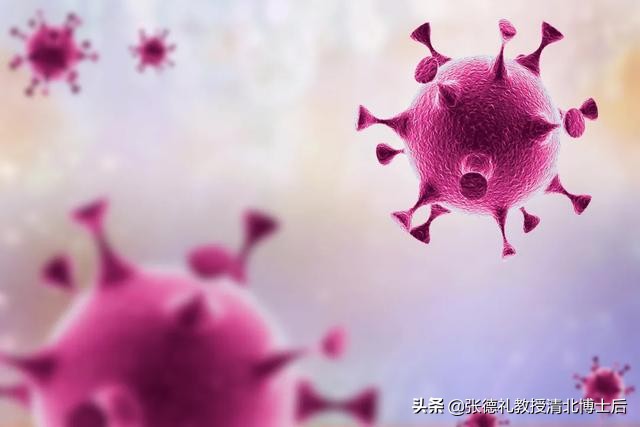 西班牙最新研究新冠源头,西班牙科学家解读新冠