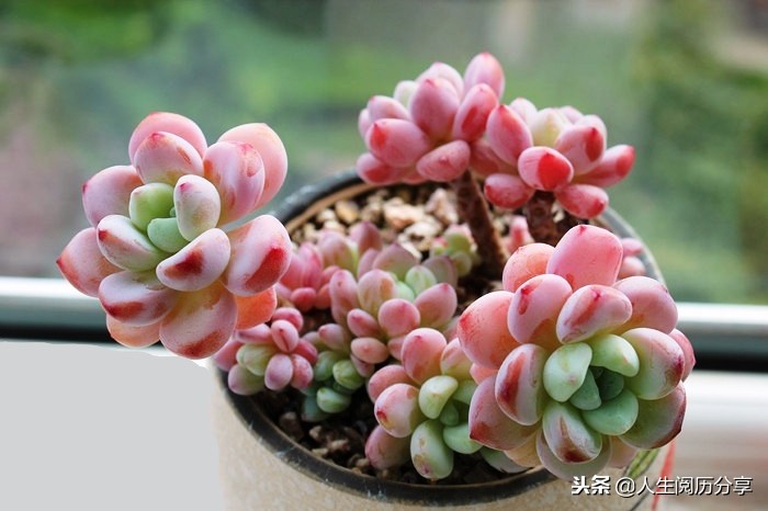 优秀的名言警句大全,特别有深刻意义的名言警句