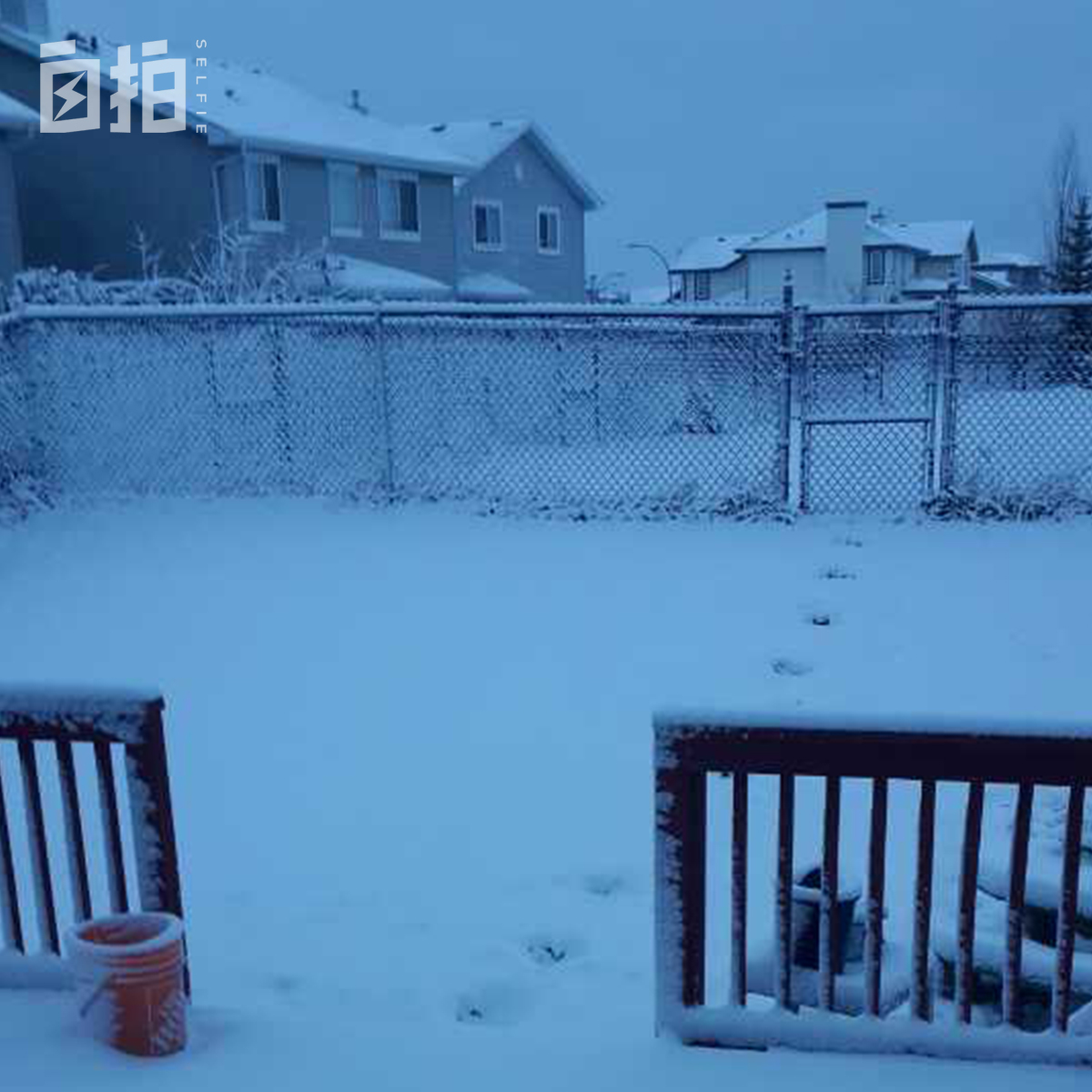 我国内当过片警，现在是加拿大狱警，天天挨犯人骂，一年200多天假期