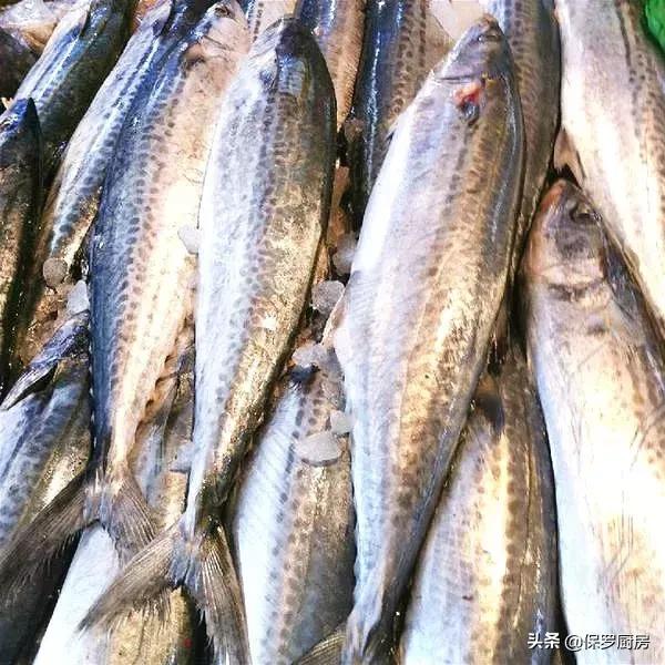 海鲜大荟萃,常见贝壳类海鲜