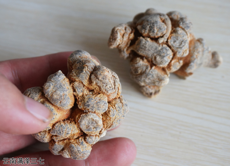 云南文山三七几头最好,文山满泽三七哪里买