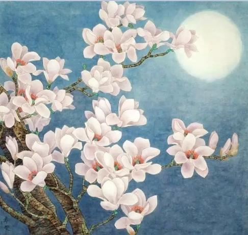 如此高花白于雪，年年偏是斗风开。盛开在诗词中的玉兰花